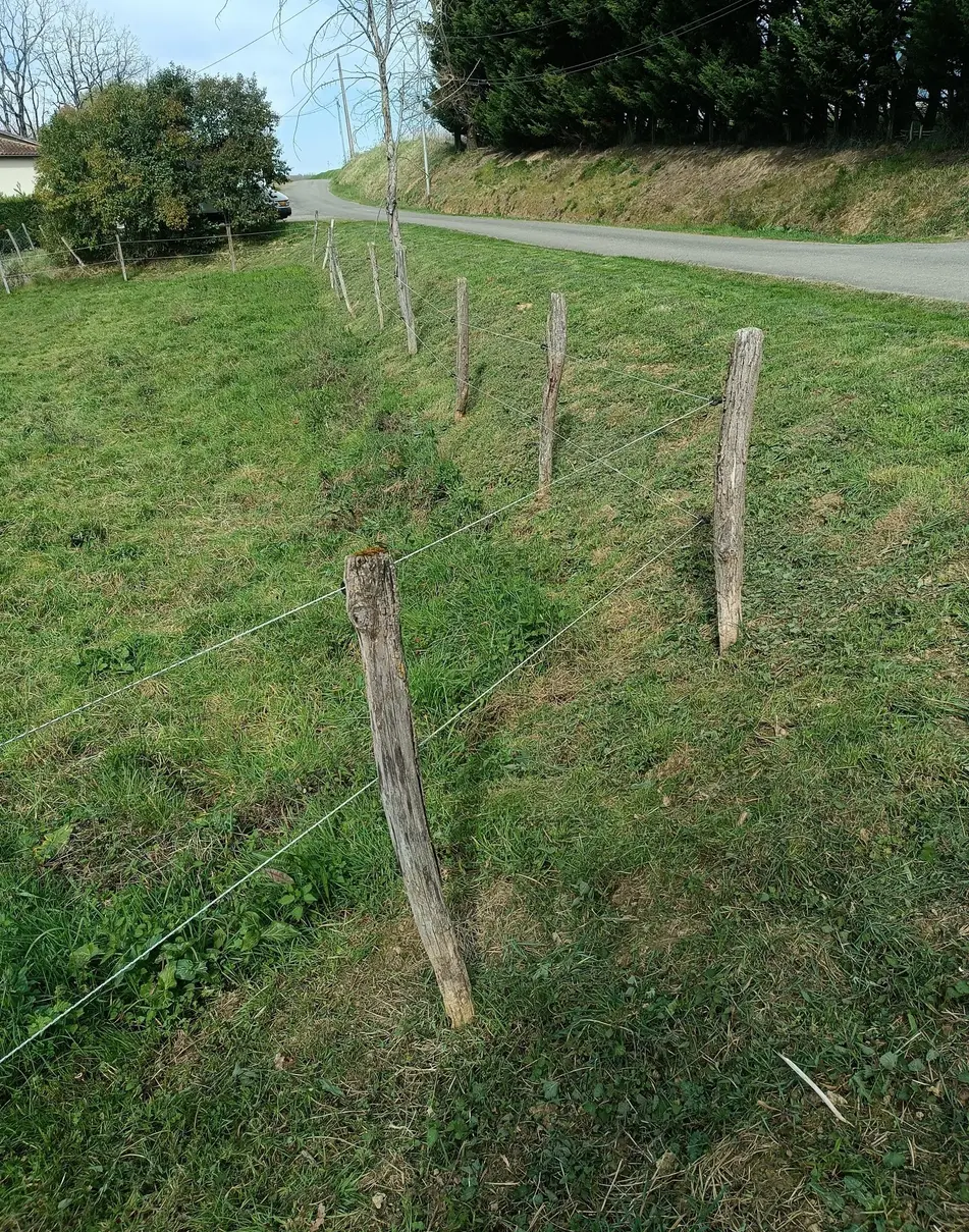 Débroussaillage sous clôture électrique