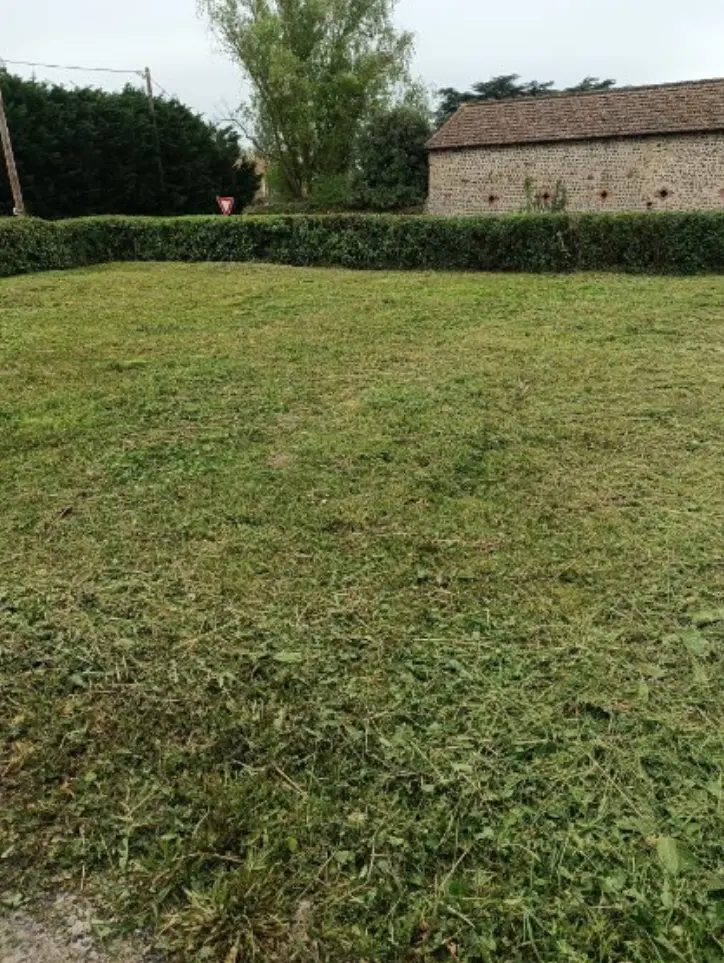 Terrain après intervention